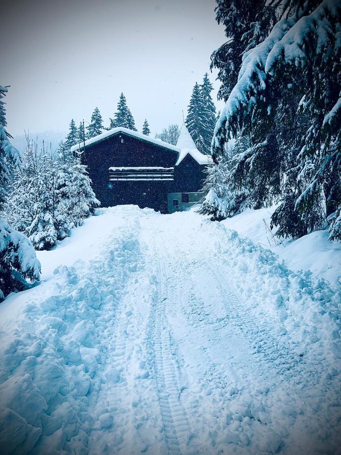 Chata Reina Villa Puste Pole Buitenkant foto